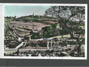 1959 Post Card Israel Mount Of Olives W/Garden