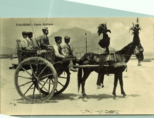 RPPC Sicilian Cart horse drawn feathers Palermo Photo Postcard