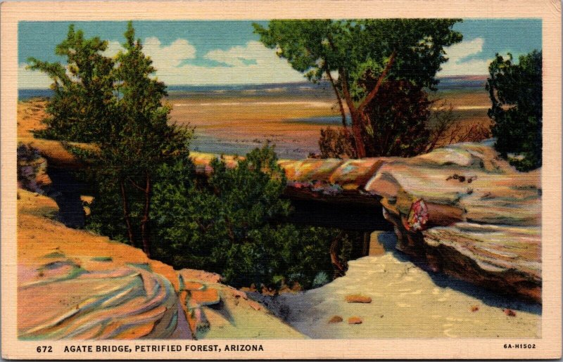 USA Agate Bridge Petrified Forest Arizona Linen Postcard C026