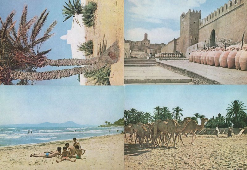 Sousse Djaerba Safsa 4x Tunisia Beach Tunisie Oasis Postcard s