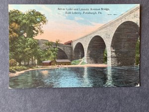 Silver Lake & Lincoln Ave Bridge Pittsburgh PA Litho Postcard H2097081304