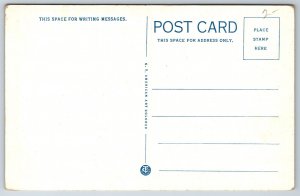 Farming~Greetings From Pine Tree State~Potato Digging In Maine~Vintage Postcard