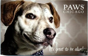 M-14374 It's great to be alive Paws Chicago Illinois