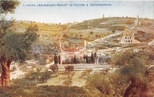 Lot 43 jerusalem israel mount of olive and gethsemane