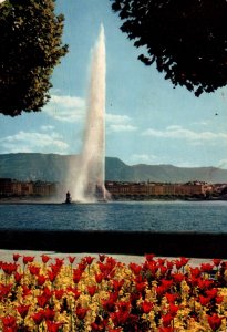 Le Jet d'eau,Geneva,Switzerland BIN