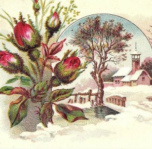 1880's Lovely Winter Church Rosebuds Birds Victorian Trade Card P25
