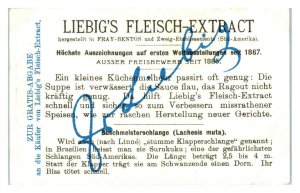 Bushmaster, Poisonous Snakes, Liebig German Trade Card *VT27F 