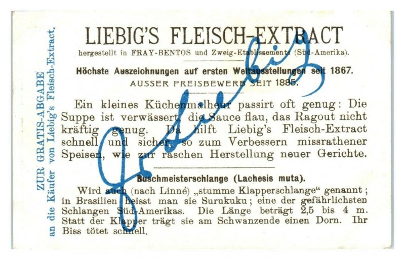 Bushmaster, Poisonous Snakes, Liebig German Trade Card *VT27F 