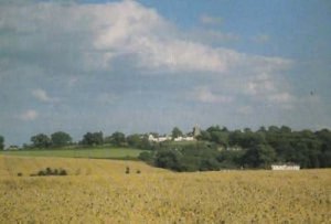 Essendon Village Herts Womens Institute Photo Postcard