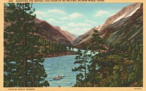 Vintage Postcard Shooting The Rapids River Of No Return Salmon River Idaho ID