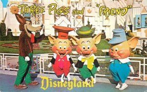 Postcard United States California Disneyland three pigs and friend