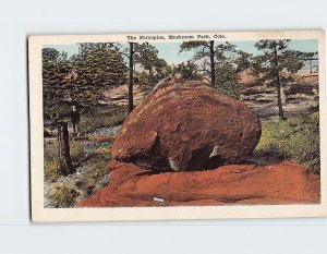 Postcard The Porcupine, Mushroom Park, Colorado Springs, Colorado