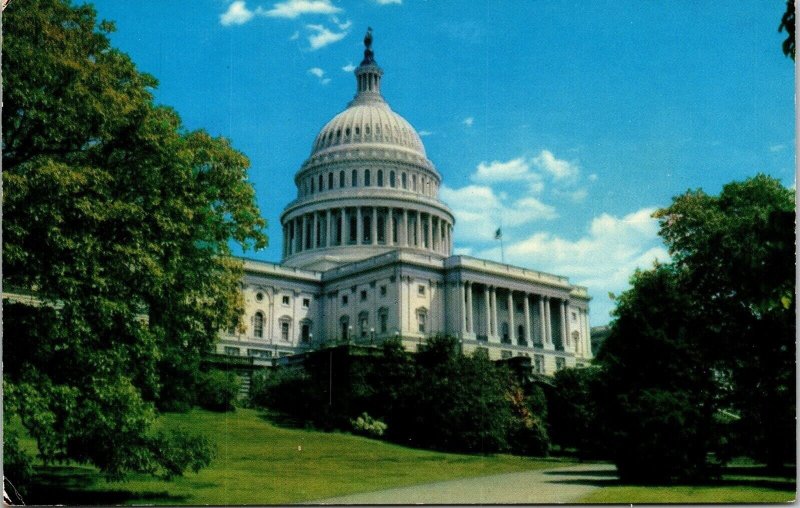 Capitol Washington DC Hill US Capitol White House Postcard Lawn Front 