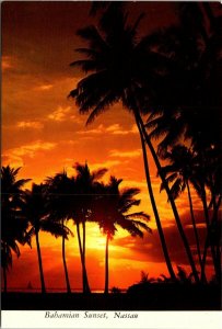 VINTAGE CONTINENTAL SIZE POSTCARD BAHAMIAN SUNSET NASSAU CHRISTMAS SHEET ON REAR