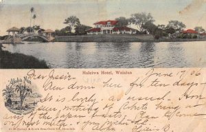 Waialua Hawaii Whaleiwa Hotel Aloha Nui Vintage Postcard AA44046