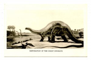 Restoration of the Great Dinosaur