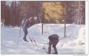 QUEBEC, Canada, PU-1944; Cross Country Skiing In La Mauricie National Park