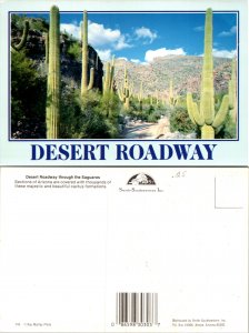 Desert Roadway (10842)