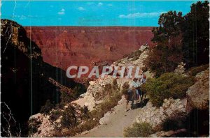 Modern Postcard Grand Canyon National Park Arizona