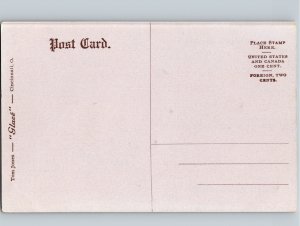 c1910 Grain Elevators SIOUX CITY Iowa IA Postcard