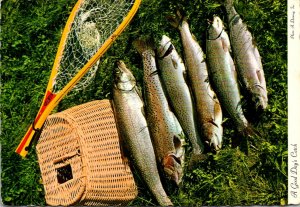 Canada Souvenir La Malbaie Charlevoix A Good Day's Catch 1983