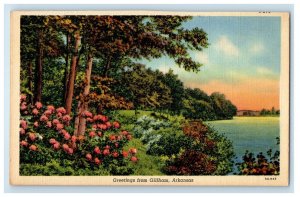 c1930's Greetings From Gillham Arkansas AR, River View Vintage Postcard 