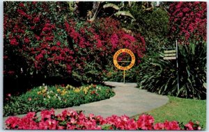 Postcard - Sunken Gardens' - St. Petersburg, Florida