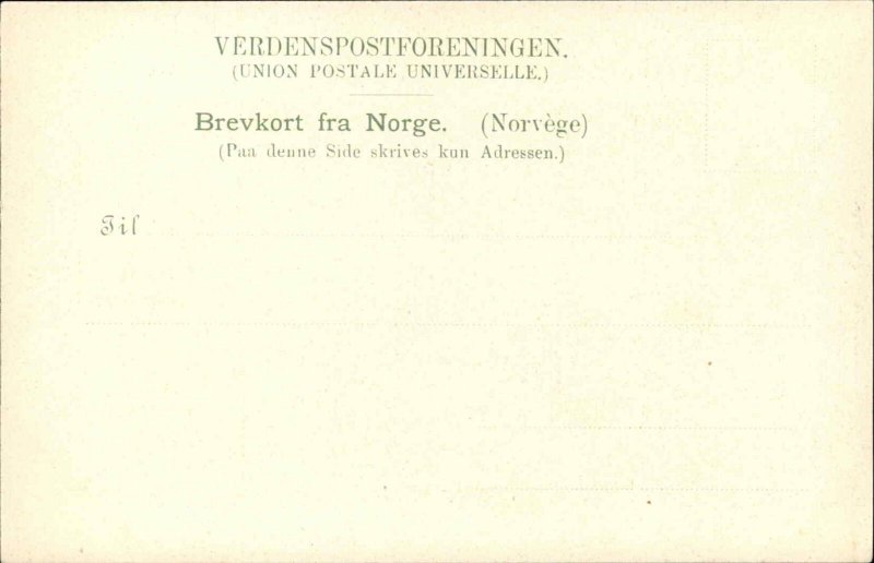 Hjelle Norway Norway Birdseye View c1900 Postcard