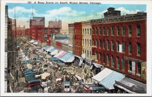 A Busy Scene On South Water Street Chicago Illinois Postcard C091