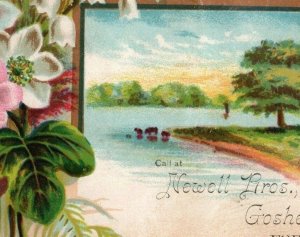 1882 Newell Bros. Dress Goods Spring Lake Scene Fab! Goshen, IN P201