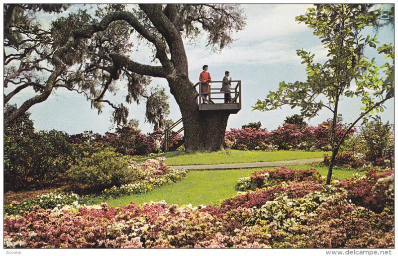 Orton Plantation , WILMINGTON, North  Carolina , 50-60s