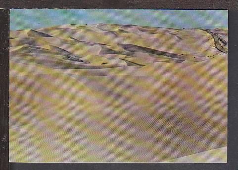 Algodones Dunes AZ Postcard BIN