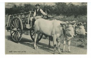 Italy - Roma (Rome). Ox Cart