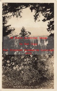 CA, McCloud, California, RPPC, Mount Shasta Through Trees, 1928 PM, Photo