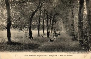 CPA École Nationale d'Agriculture GRIGNON Allée des Tilleuls (617983)