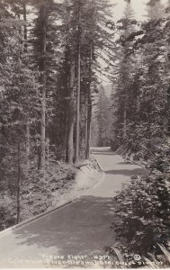 Oregon Columbia River Highway Figure Eight Real Photo