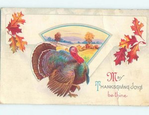 Bent Divided-Back thanksgiving COLORFUL TURKEY o4805
