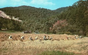 Vintage Postcard 1969 Panning Rubies at a Ruby Mine near Franklin North Carolina