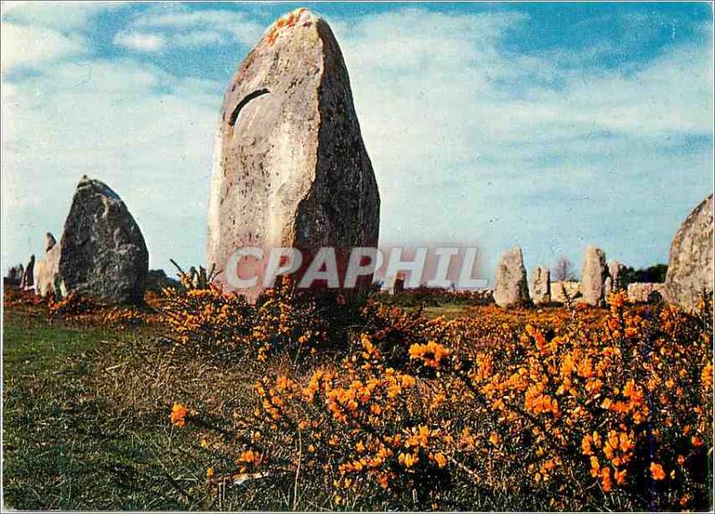 Postcard Modern menhirs in the flowery heath Colors of Britain