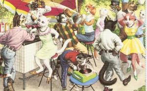 \At the Open Air Disco\ Mainzer Dressed Cats PC #4973