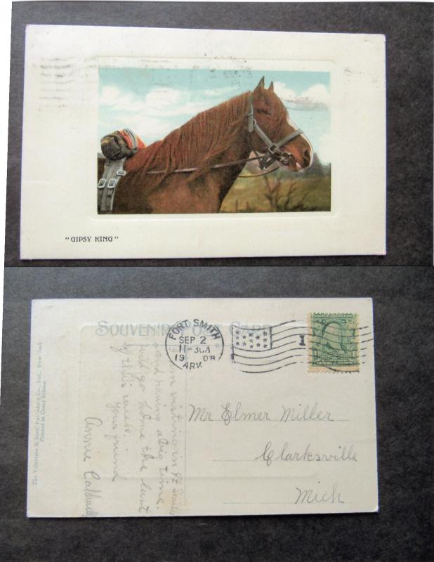 Gipsy King Postcard Chestnut Horse Portrait