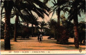 Tunisia Tunis Le Jardin L'Avenue de Paris Vintage Postcard C158