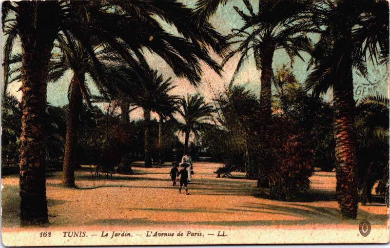 Tunisia Tunis Le Jardin L'Avenue de Paris Vintage Postcard C158