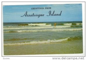 Greetings from Assateague Island, Maryland,40-60s