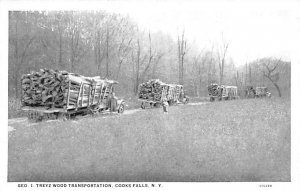 Transportation of Wood Geo I Treyz - Cooks Falls, New York NY  