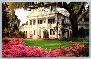 1963 Wilmington  North Carolina  Orton Plantation    Postcard