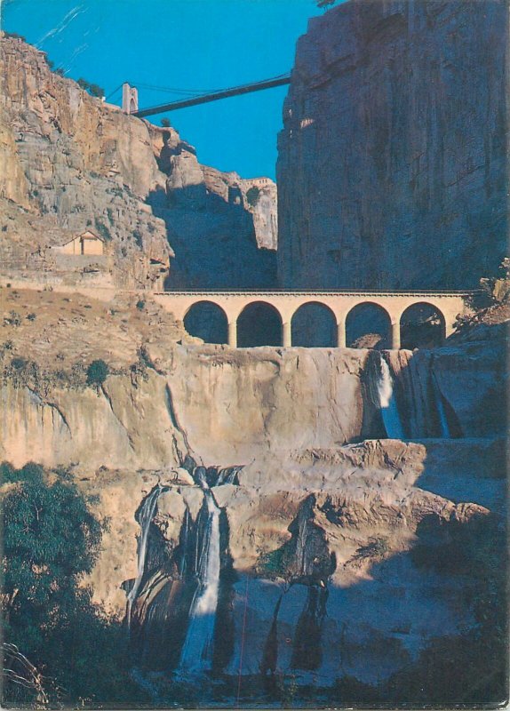 Algerie Postcard Constantine les gorges & le pont suspendu