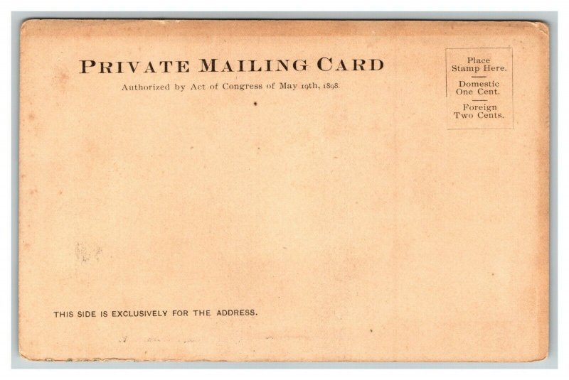 Vintage 1900's Photo Private Mailing Card Post Office & Courthouse Auburn NY