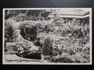 Suffolk FELIXSTOWE Dripping Well, Spa Gardens - Old Postcard by E.T.W. Dennis