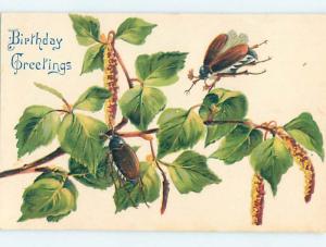 Pre-Linen birthday UGLY LARGE DETAILED BEETLE INSECTS ON PLANT HJ4813